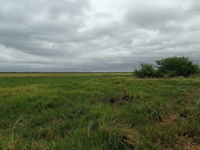 Campo en venta 1394 ha en Fuerte Olimpo Chaco Paraguayo