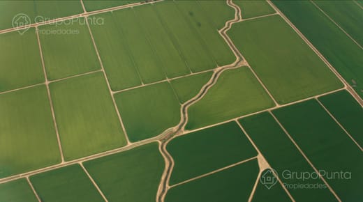 Campo en Venta - Rocha