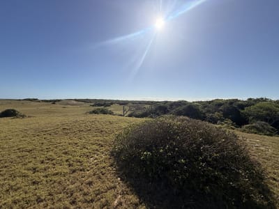 Terreno en Chihuahua
