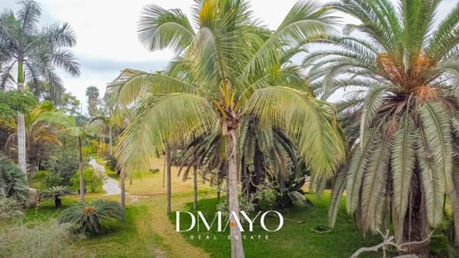 Venta de terreno 20500m2 Pachacamac a lado de la Av. Manuel Valle