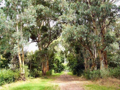 Venta de Terreno - El Ensueño, Balneario Santa Ana  Lote 15 M 11