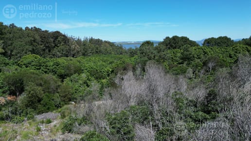 Venta Terreno Las Cumbres Punta Ballena Punta del Este
