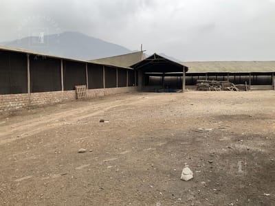 Local en Pachacamac