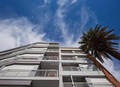 Apartamento 1 dormitorio en alquiler en La Blanqueada - 303