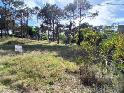 Venta Terreno en  Punta del Diablo