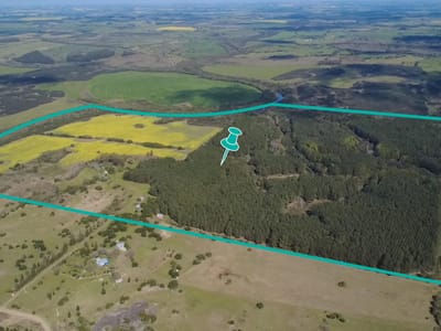 Venta de Campo de 85 hectáreas en Paso Antolín, Colonia