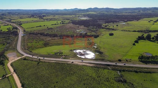 Venta de campo agrícola-ganadero de 83 ha sobre Ruta 12 – Maldonado
