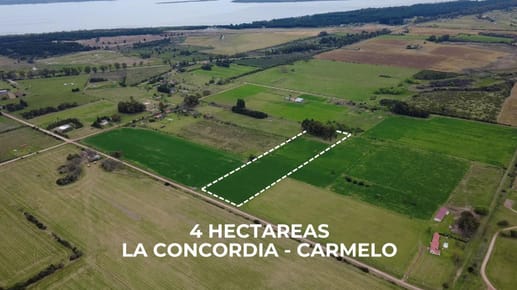 Venta de Chacra de 4 hectáreas en Colonia Estrella, Carmelo