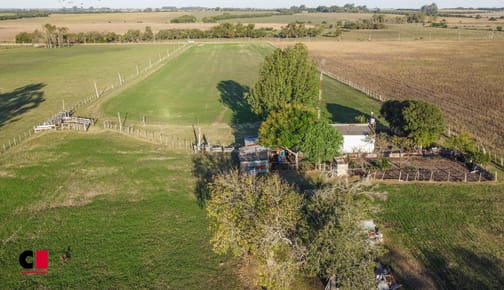 Venta Chacra 3 ha Ruta 21 KM 237