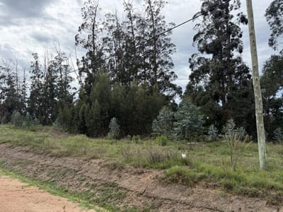 Terrenos en  Parque Burnett