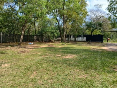 Venta de terreno en San Bernardino