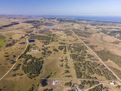 Chacras en  venta José Ignacio por Sainz Martinez - TM7165707