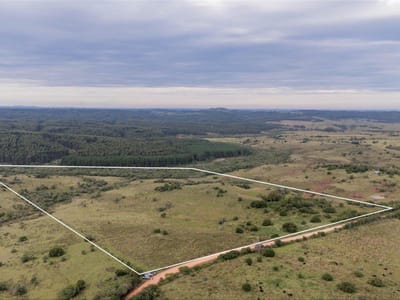 OPORTUNIDAD: Chacra 20 ha venta en las sierras de Garzón