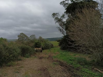Terreno en Paralle