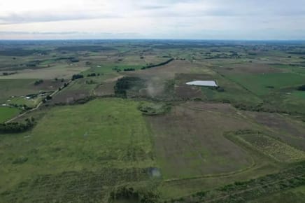 Oportunidad Campo productivo en Migues 148 hectáreas