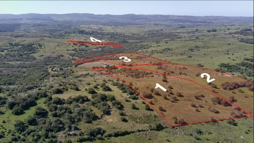 Chacras en venta de 3 a 5.6 Ha sobre Ruta 39 Vistas Agua Naturaleza a 50 min de Punta del Este