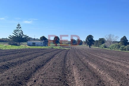 Venta Chacra 11 hectáreas Montevideo rural