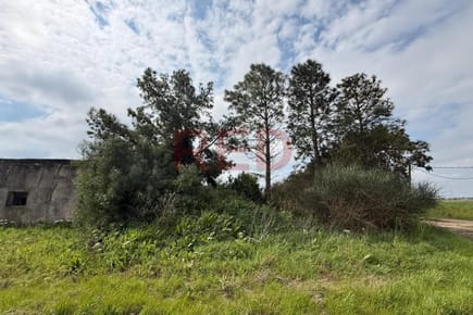Venta de Campo Camino Garcés y Ruta 1 