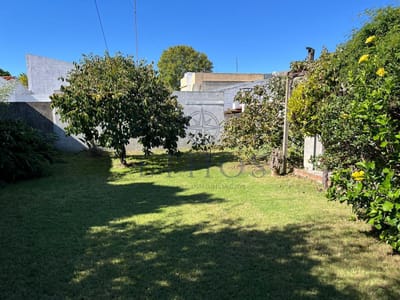 Venta de casa en Buceo de 3 dormitorios con frente, fondo arbolado y gran garaje