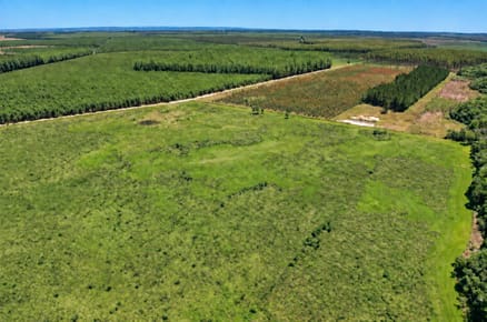 VENTA de Campo 3.000ha en Caazapa