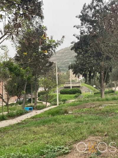 Vendo Terrenos en San Antonio de Pachacamac 1° Etapa