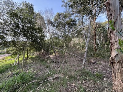 Terreno esquinero en venta Sauce de Portezuelo