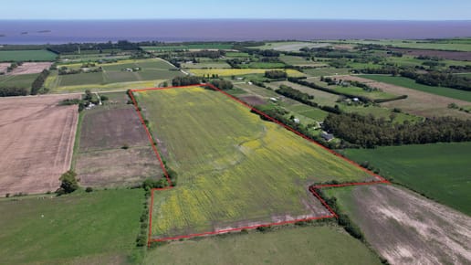 Chacra de 15 hectáreas en venta en Colonia | Potencial de fraccionamiento y producción