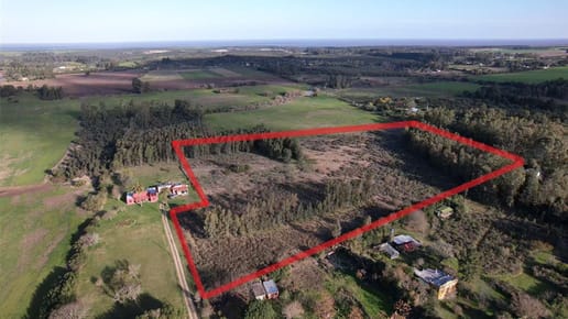 Pintoresca chacra sobre loma con monte, próxima a Colonia del Sacramento