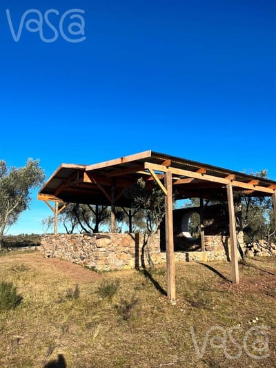 Chacra a la venta con olivar en Pueblo Edén 