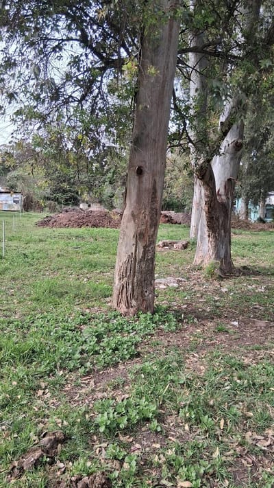 Terreno en Balneario Santa Ana Colonia del Sacramento