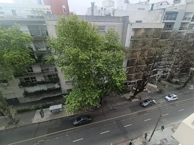 Excelente apartamento en punta Carretas  Cerca de todo, servicios , locomoción, súper 