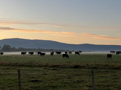 Campo en Solís Grande Maldonado 336 hectareas