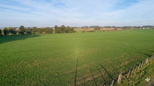 Campo en Los Algodones