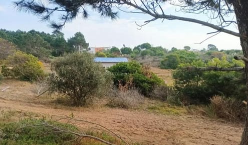 Terreno en venta en Punta del Diablo 