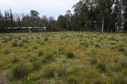 Terreno en Colonia del Sacramento