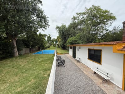 Apartamentos de un dormitorio en alquiler en Carmelo .