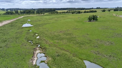 Campo en Camino Eguzquiza