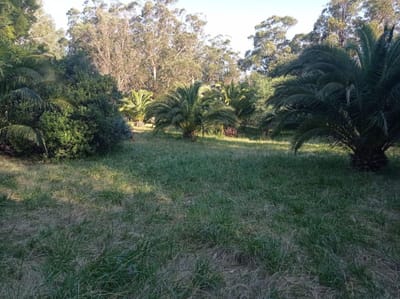 Terreno en Balneario Las Flores